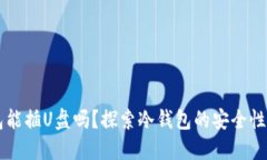 电脑冷钱包能插U盘吗？探